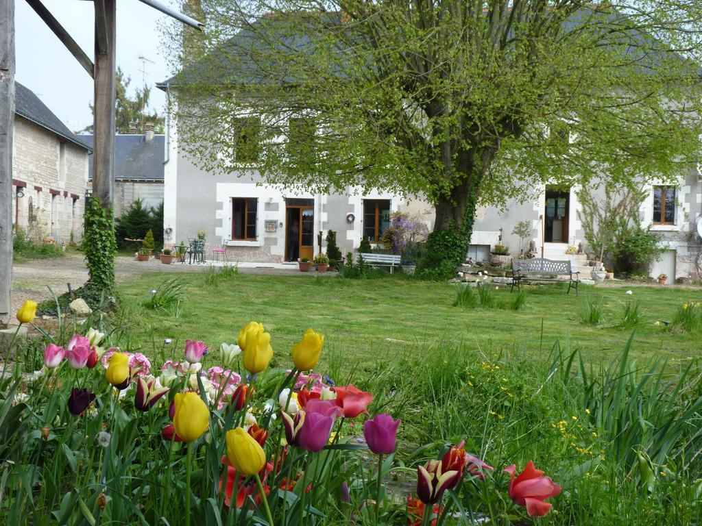 La Cle Des Jardins Bed and Breakfast Nouâtre Exteriör bild