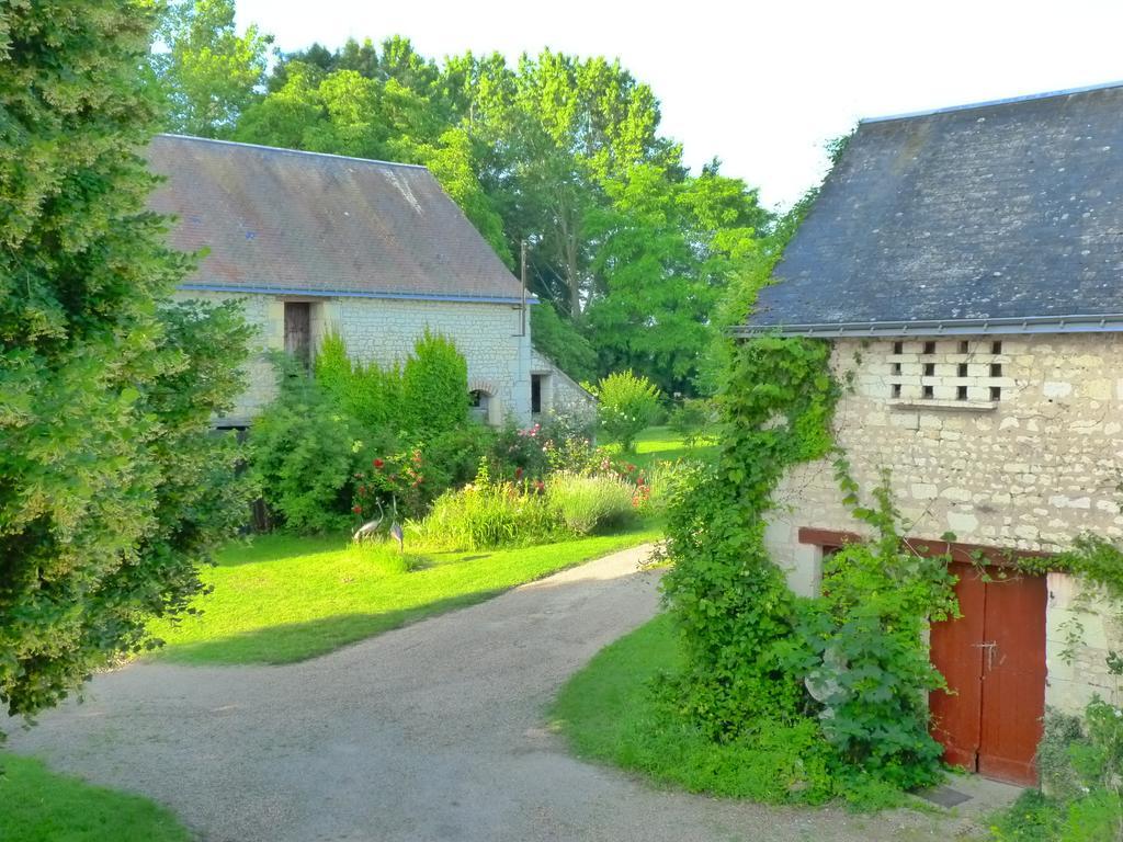La Cle Des Jardins Bed and Breakfast Nouâtre Exteriör bild