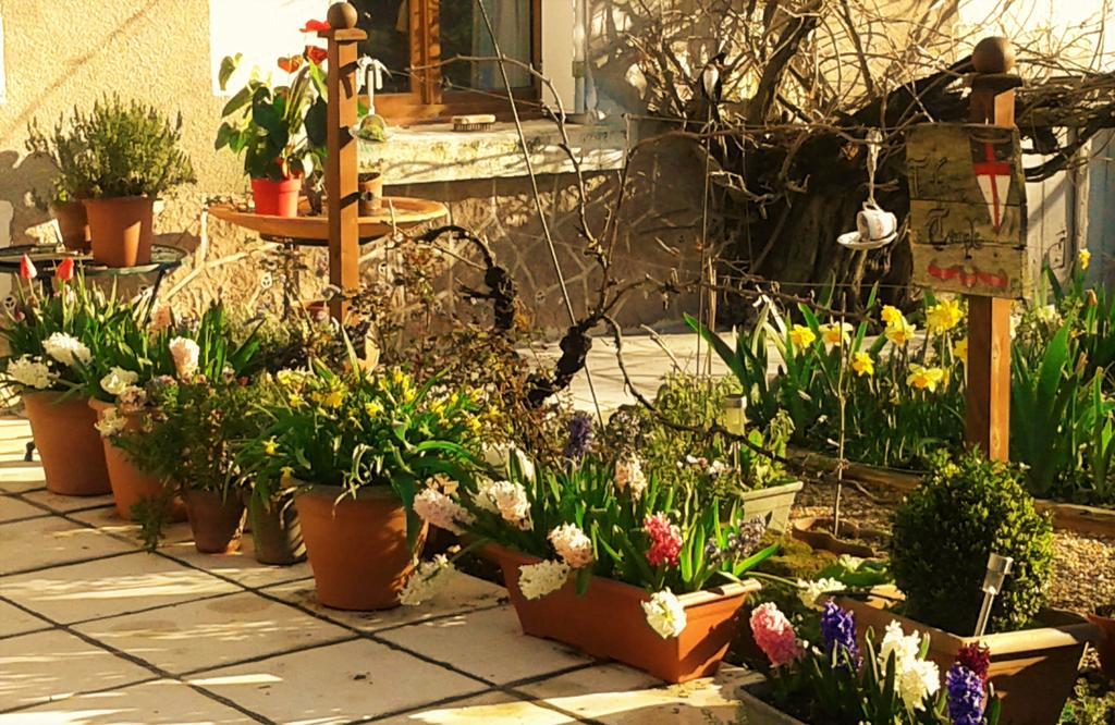 La Cle Des Jardins Bed and Breakfast Nouâtre Exteriör bild